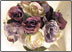 Wedding Flowers